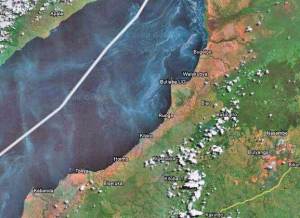 Uganda along lake Albert.  The white line in the lake is the border between Uganda and DRC.  On the Unganda side you can see the places Tonyo, Hoima, and Butiaba marked on the map.  These are of particular interest to the oil business.